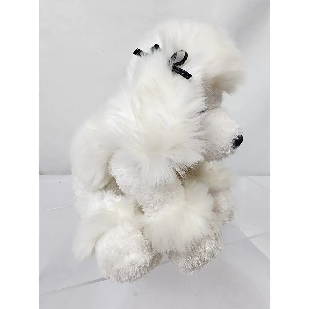 White French Poodle Dog 9